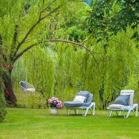 Family Close To Beaches And Lucca Holiday home Camaiore
